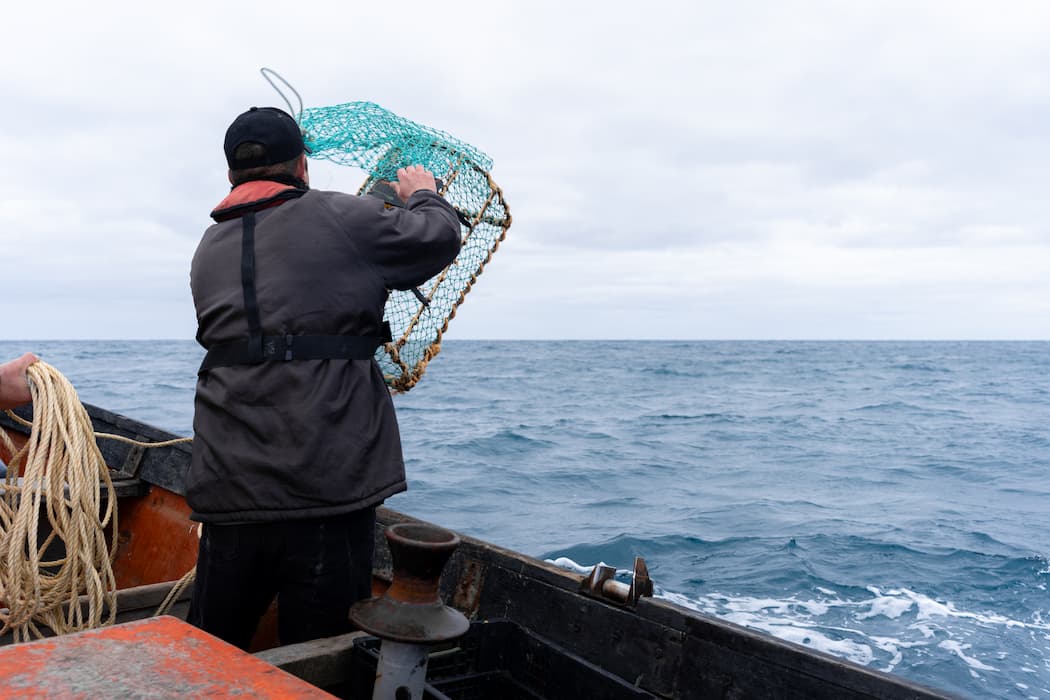 Formazione RSPP/ASPP: modulo B specifico SP-2 Pesca