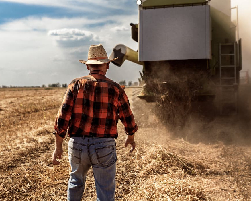 Formazione RSPP/ASPP: modulo B specifico SP-1 Agricoltura, silvicoltura, zootecnia