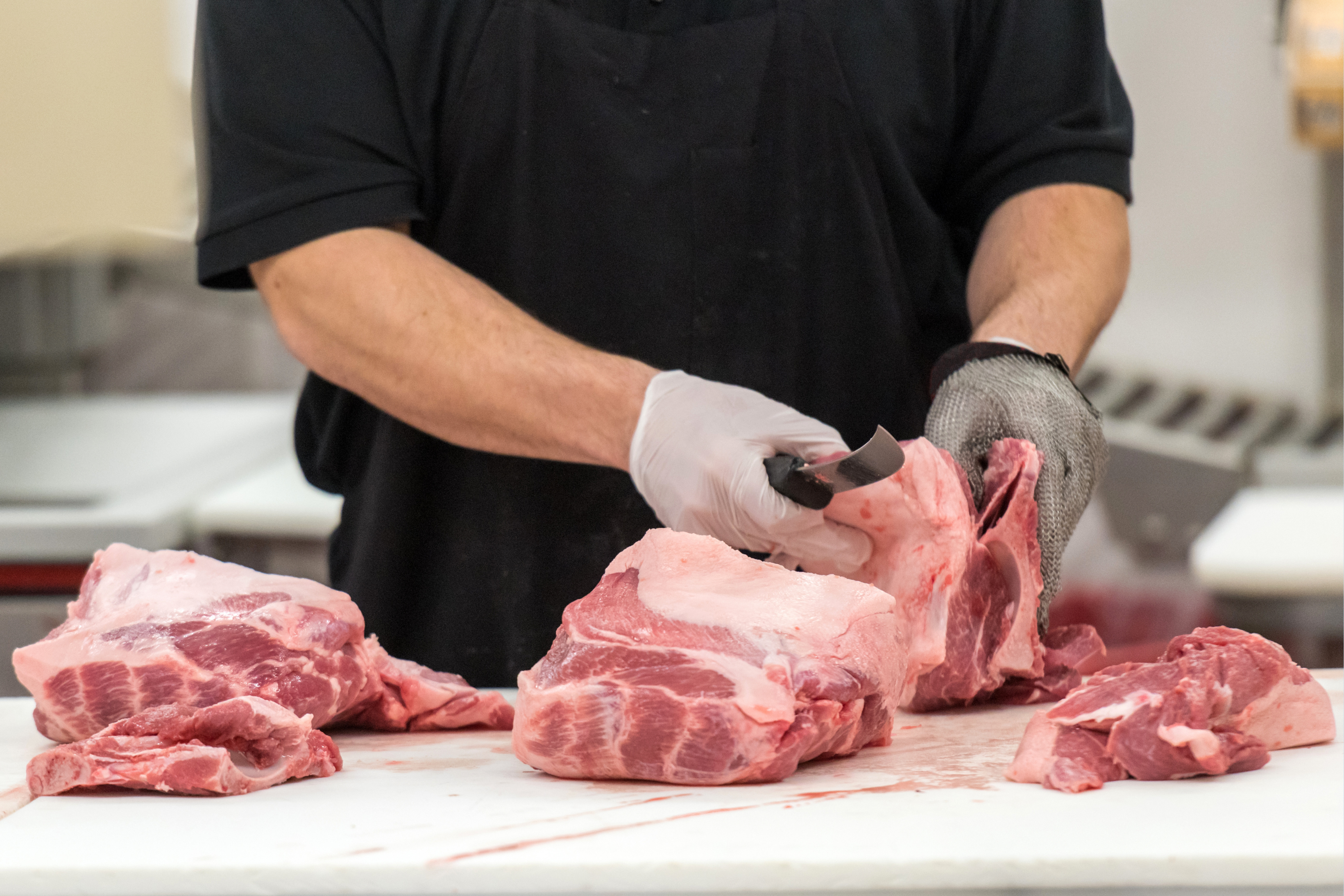 Formazione per responsabili del settore alimentare Regione Piemonte: MACELLERIE